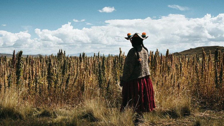 Gallery image from aDHIAL2zuvTvsrWseWqJxBOyu4l.jpg