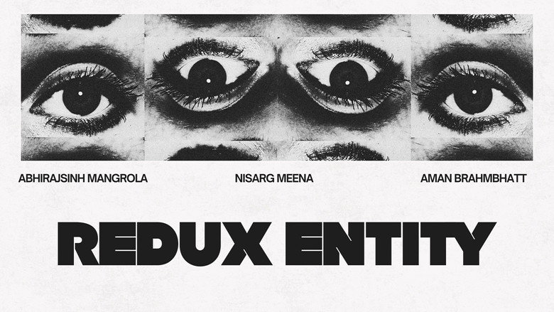 Redux entity