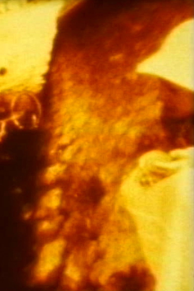 Imatge de ＶＭの漂流