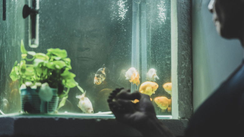 Gallery image from aF5ZMuVKcFC1Sh1CLYSbKvscFCJ.jpg