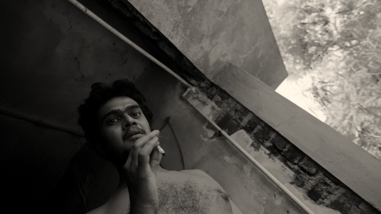 Imatge de A Fly Floating In The Midst Of The Milk