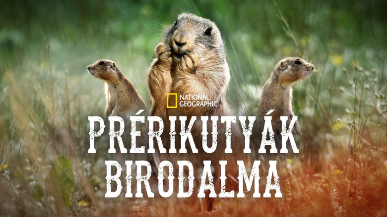 Prairie Dog Manor — image 10