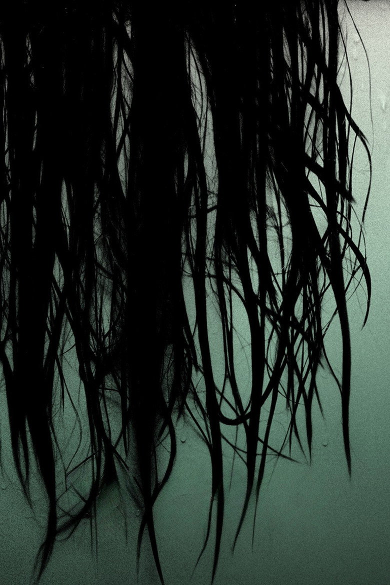 Imatge de The Grudge