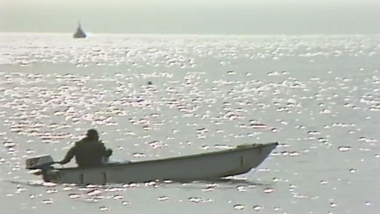 Image d'arrière-plan 4 du film 幻の女　ファントムレディ