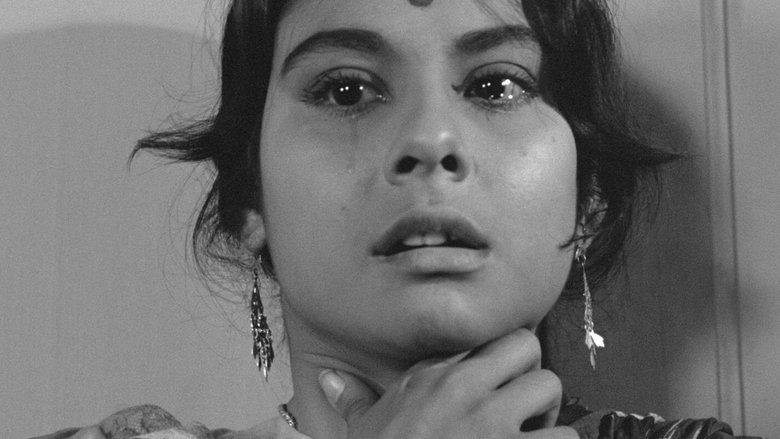Charulata (1964)