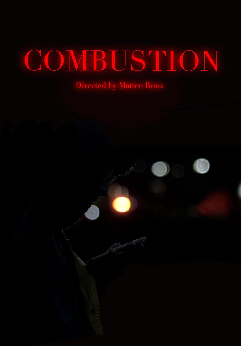 Combustion — image 2