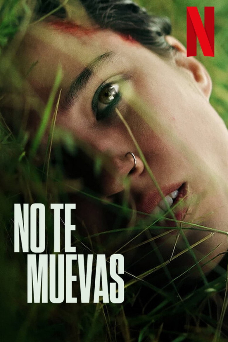 Póster la Película
