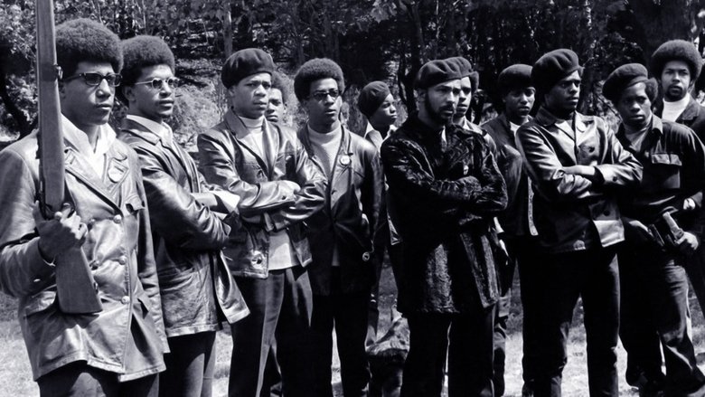 The Black Panthers: Vanguard of the Revolution (2015)