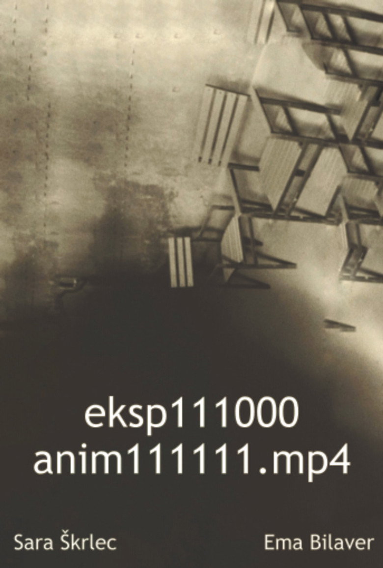 Imatge de eksp111000anim111111.mp4