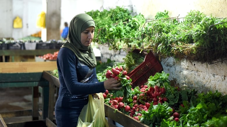 Gallery image from aJN3jHDMoObDX3vXEEg5l9K7u1m.jpg