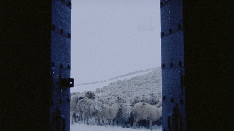 Imatge de The Wind Blows Wherever It Wants