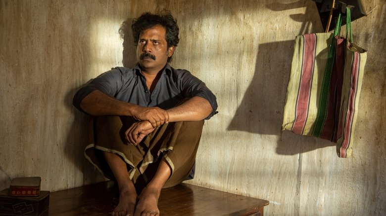 Minnal Murali (2021)