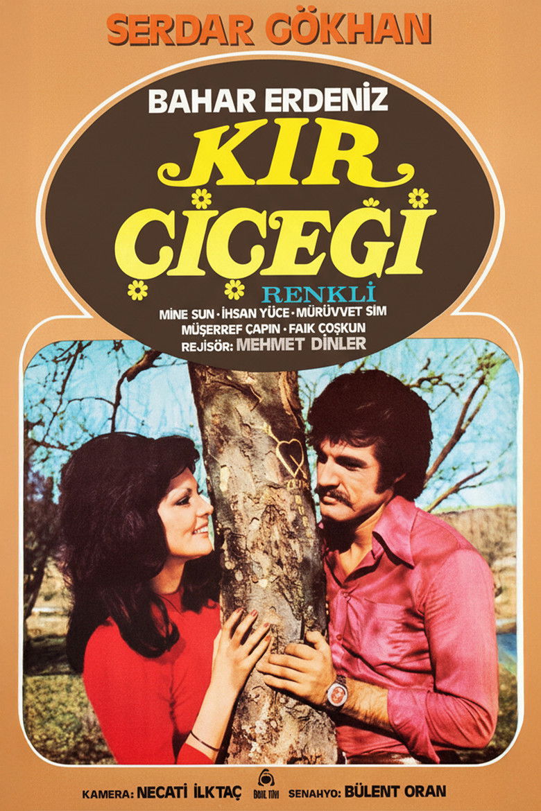 Imatge de Kır Çiçeği