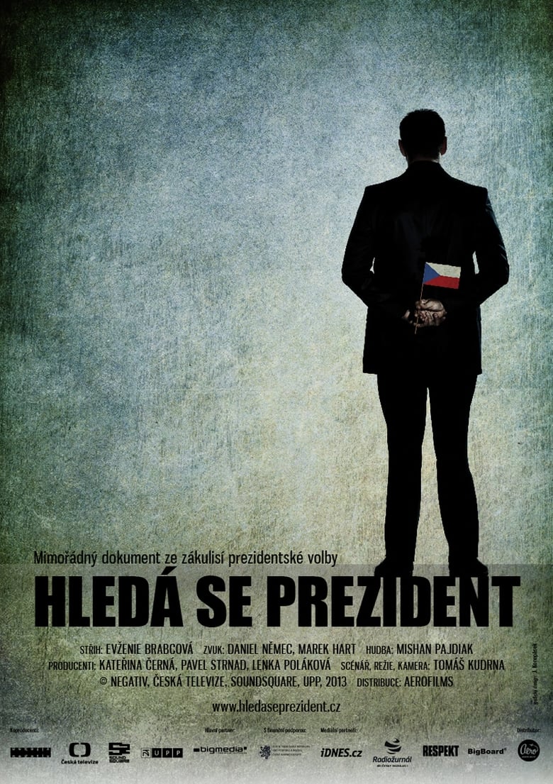President Wanted (2013)