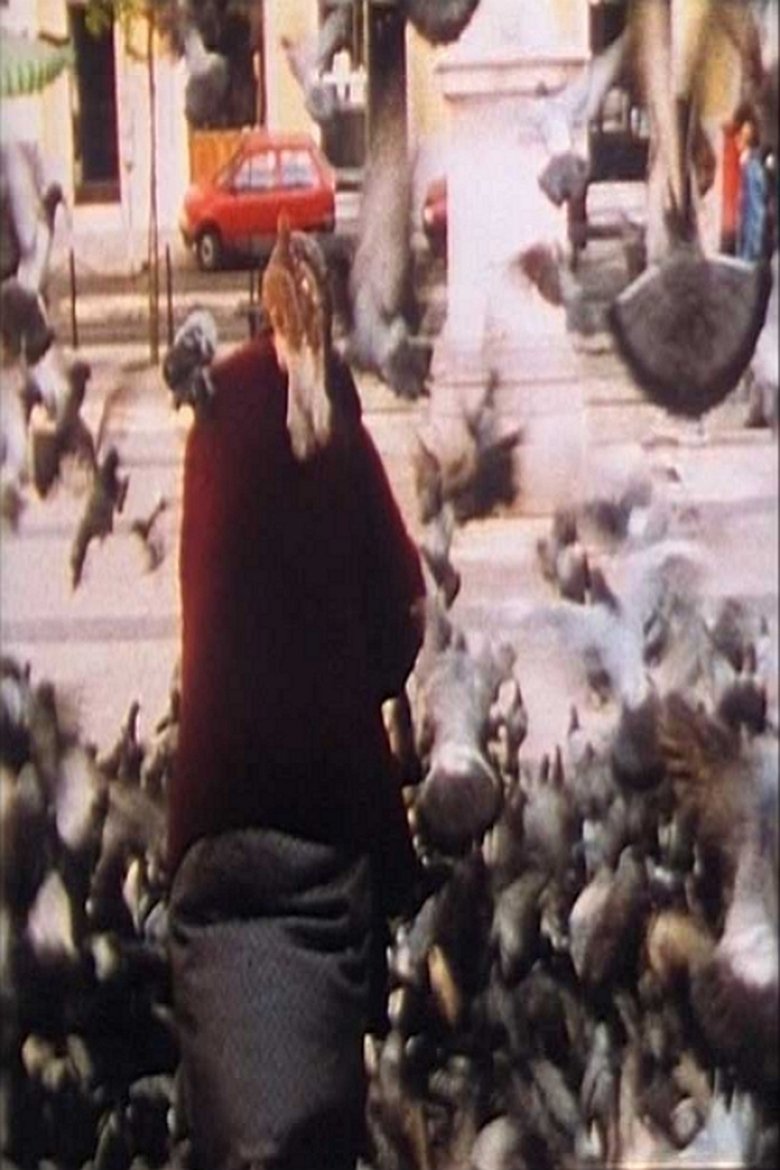 American International Pictures (1997)