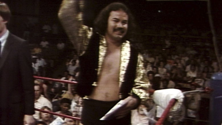 Still image for World Class Championship Wrestling season 1 episode 19: WCCW - June 26, 1982 Still image for World Class Championship Wrestling season 1 episode 19: WCCW - June 26, 1982