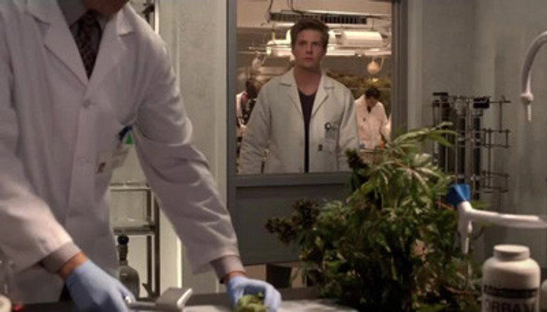 Still from Weeds - Temporada 8 Episodio 8