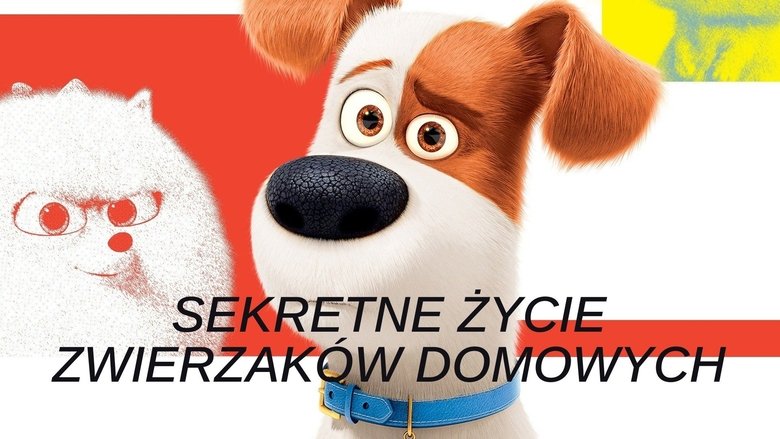 Alpkap1k104frvh3leasztefm9b