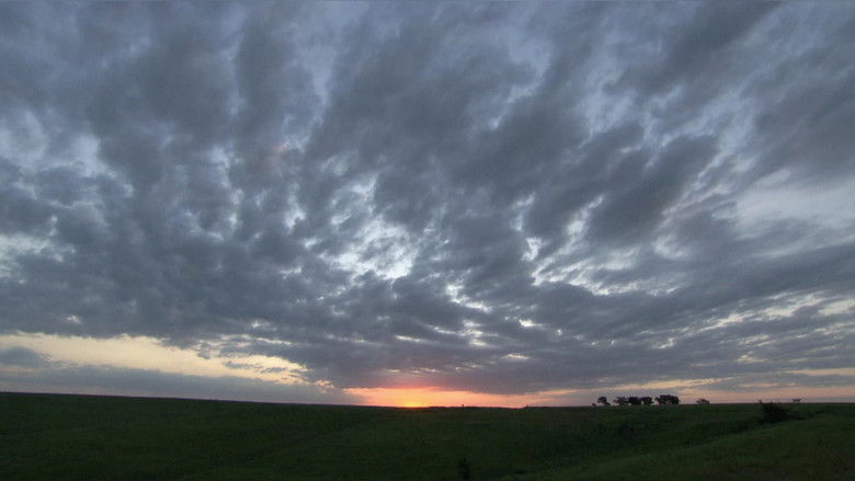 We Live with the Land