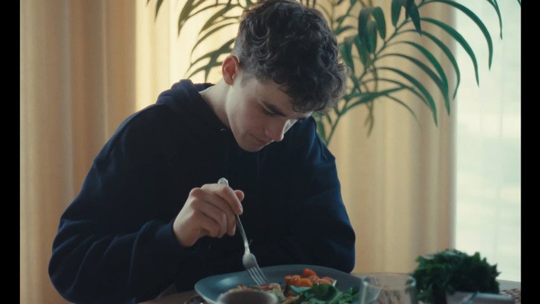 Frame from Kuidas sulle öelda, vend