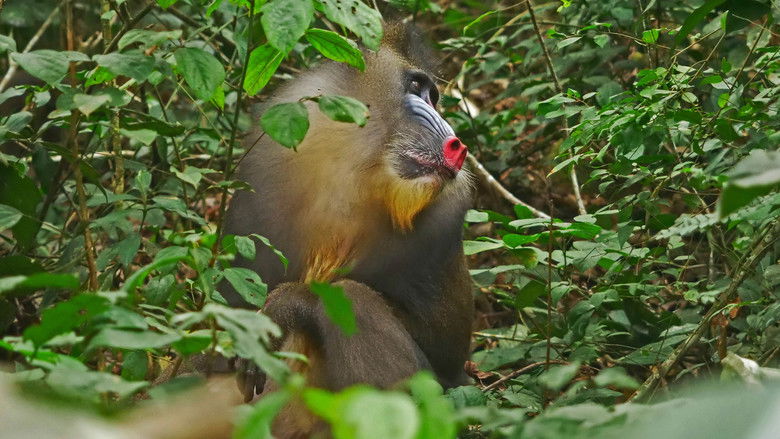 Gallery image from aMfB5IFyxmWiY0AyB7W305X5HVg.jpg