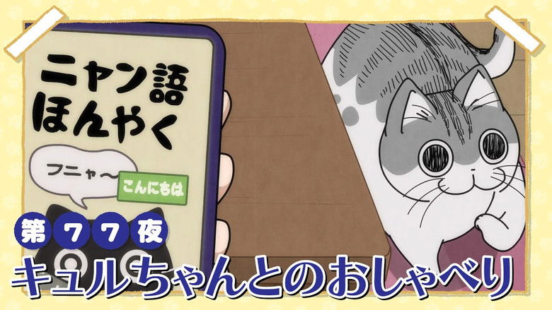 Still image for Nights with a Cat season 1 episode 77: Night 77: Talking with Kyuru-chan
