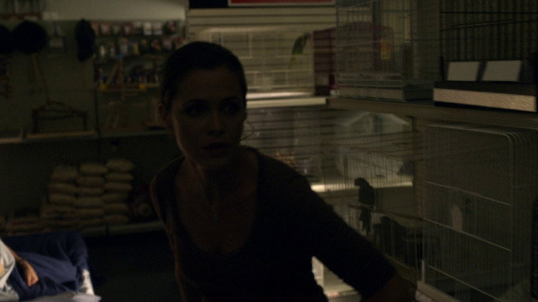Still from FlashForward - Season 1 Episode 8