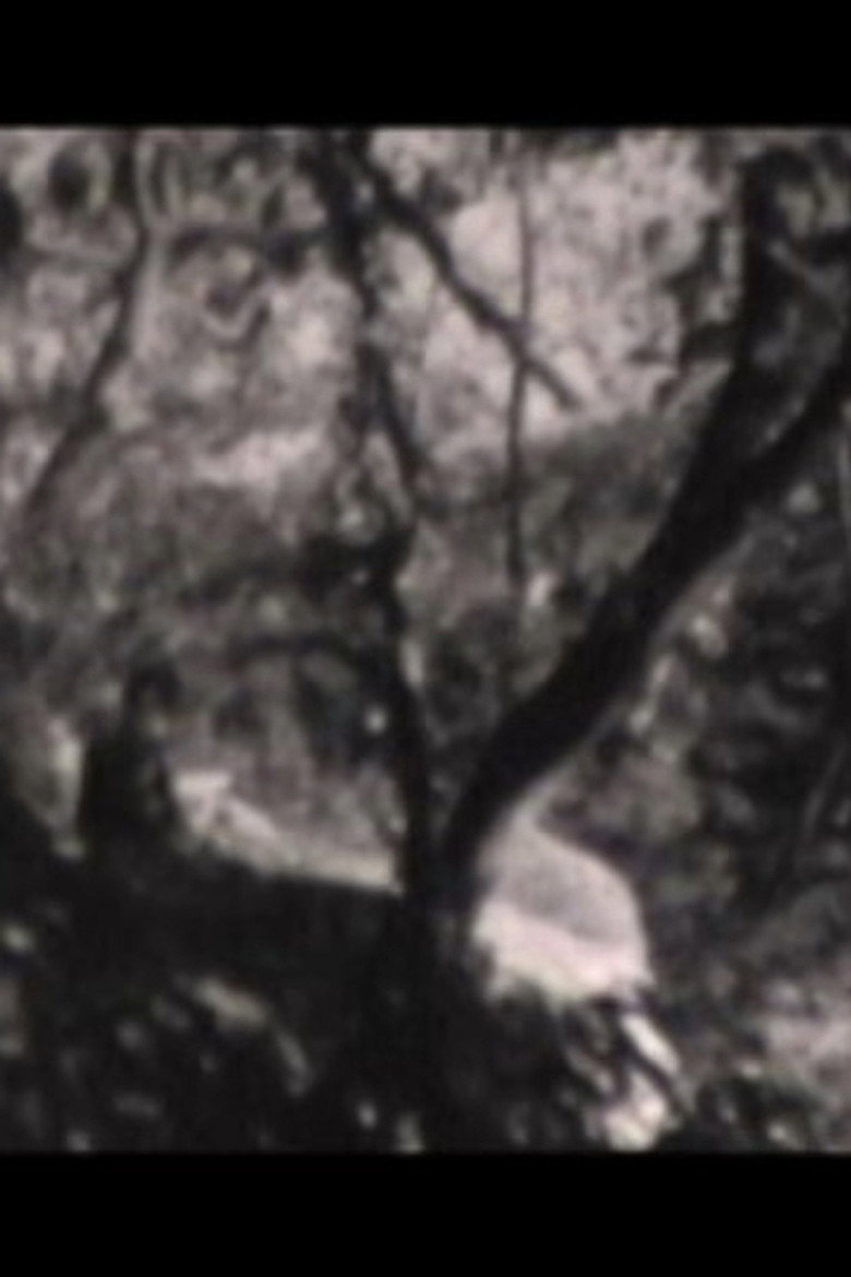 Carderock Sunday background
