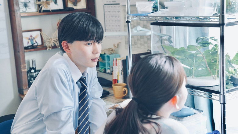 Image d'arrière-plan 5 du film No Matter What, I Love You