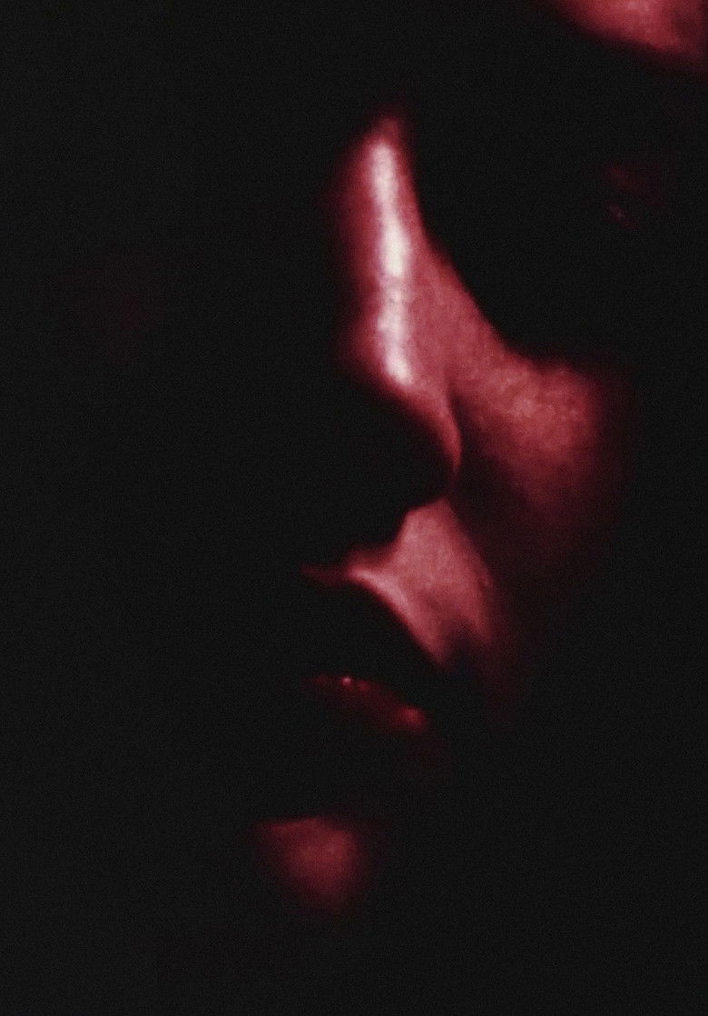 Imatge de Private Imaginings and Narrative Facts