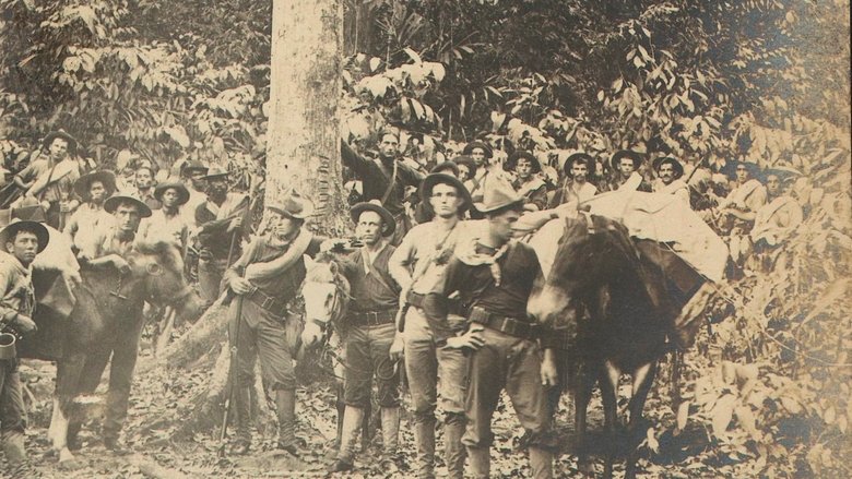 Gallery image from aNYEbvJXALKB6B9R2juwntKuxWd.jpg