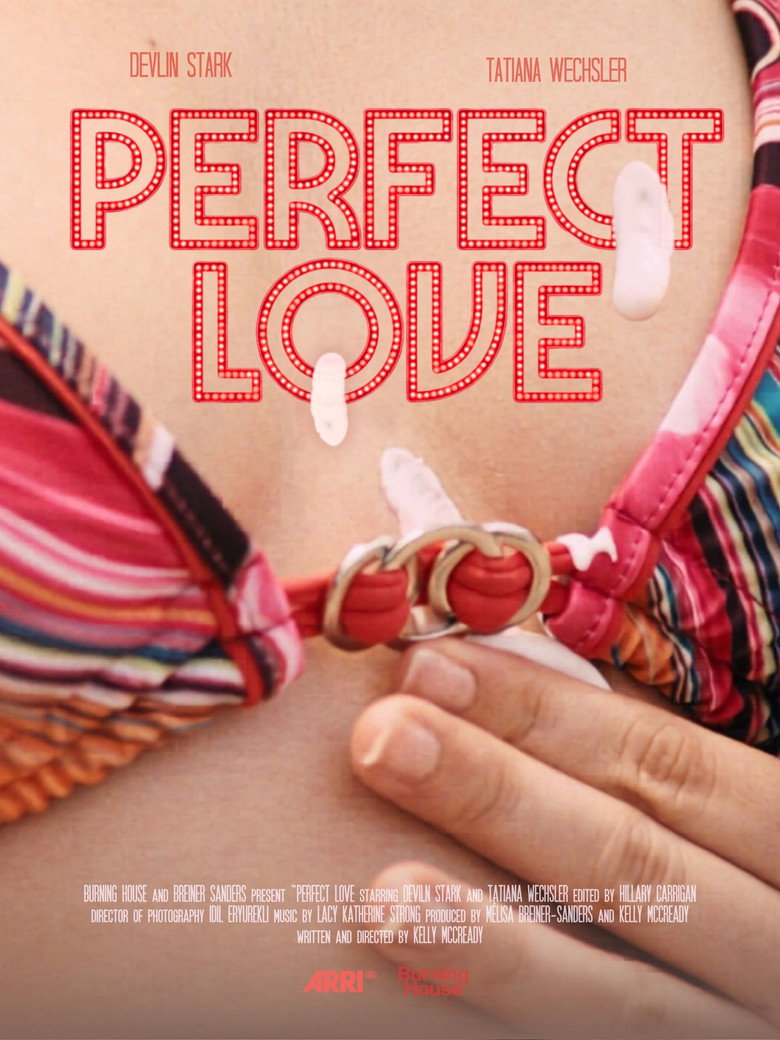 Imatge de Perfect Love
