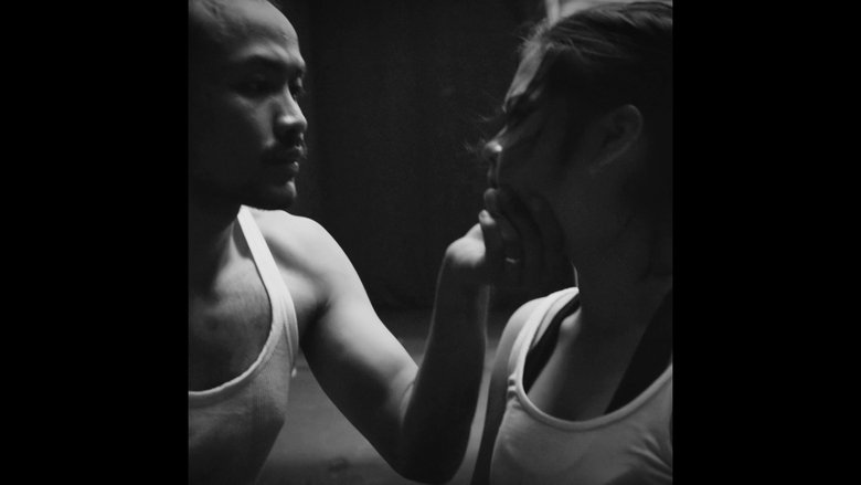 A Choreography of Violence movie poster