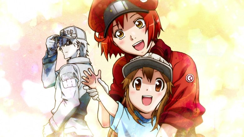 Hataraku Saibou vostfr Saison 2 Episode 1 Hataraku Saibou vostfr Saison 2 Episode 1