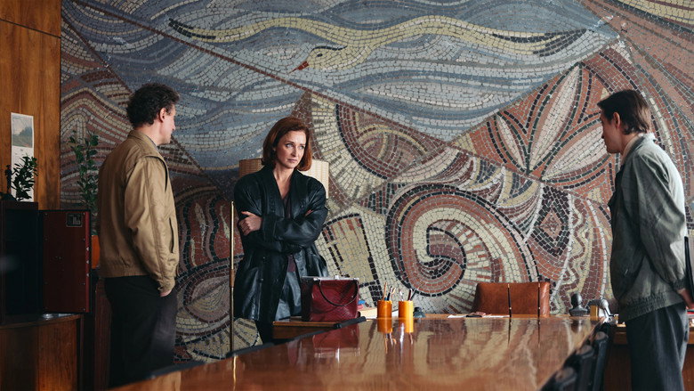 Beauty backdrop 4