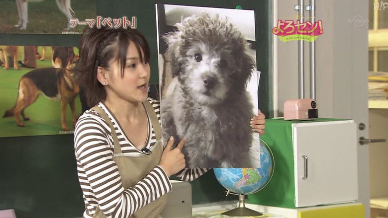 Still image for Yorosen! season 1 episode 67: Pets (Part.2)