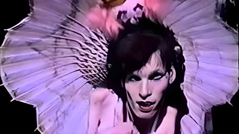 Gallery image from aP6pDBw6AtYWeaa5enycFceBkgv.jpg