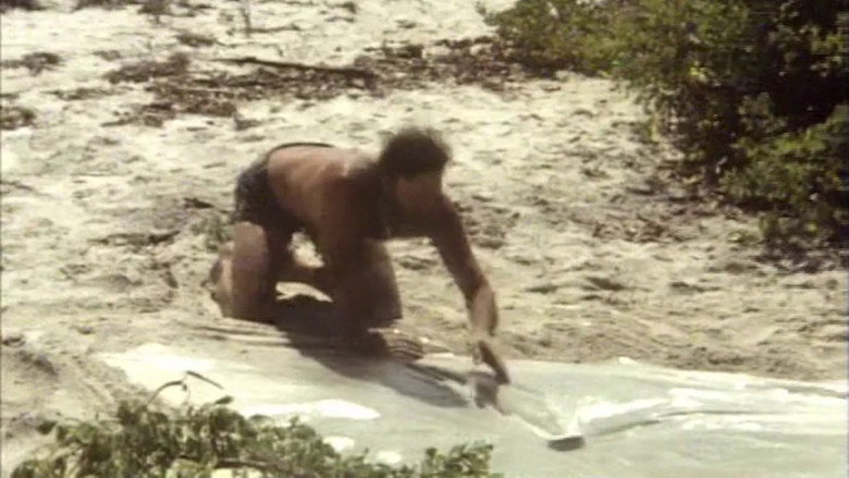 Imatge de Survival In The Outback