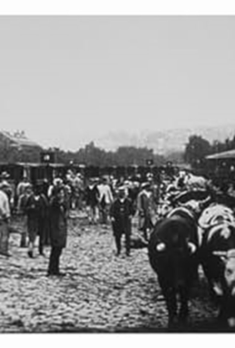 Marché aux boeufs, I main poster