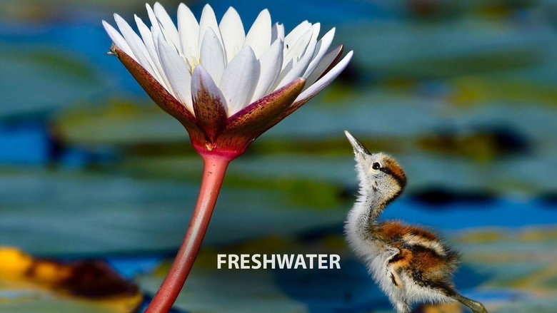 Still from Planet Earth III - シーズン 1 エピソード 4