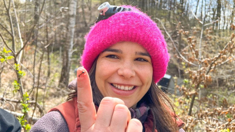 Still image for Anna und die wilden Tiere season 1 episode 99: Episode 99 Still image for Anna und die wilden Tiere season 1 episode 99: Episode 99