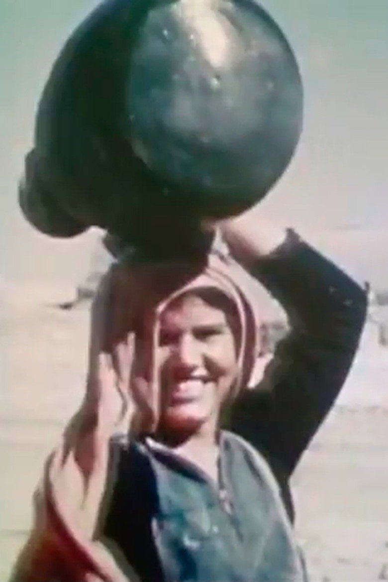 Palestine, 1949 background