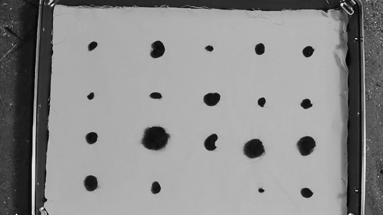 Gallery image from aRC6Slveg9vZ1dVObIdTiM1bMKx.jpg