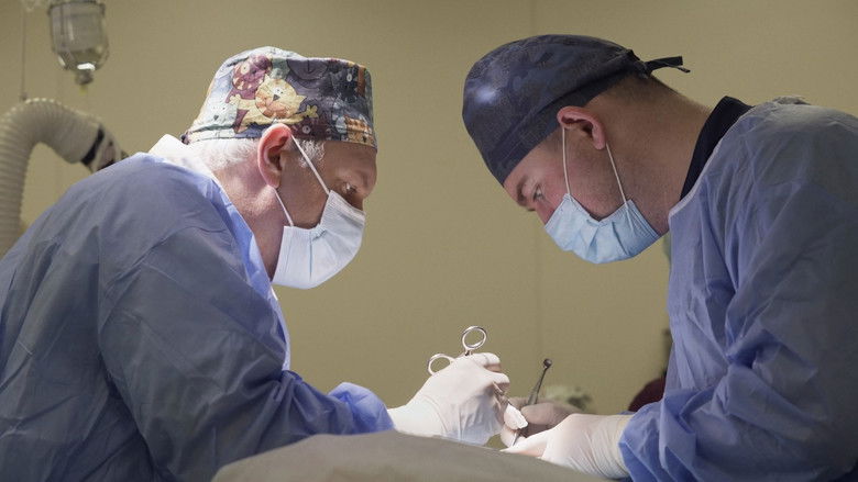 Gallery image from aS85zlPfIVxPvYjiChvrokxUCXy.jpg