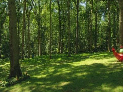 Still image for 花园宝宝高清版 season 1 episode 64: Episode 64 Still image for 花园宝宝高清版 season 1 episode 64: Episode 64