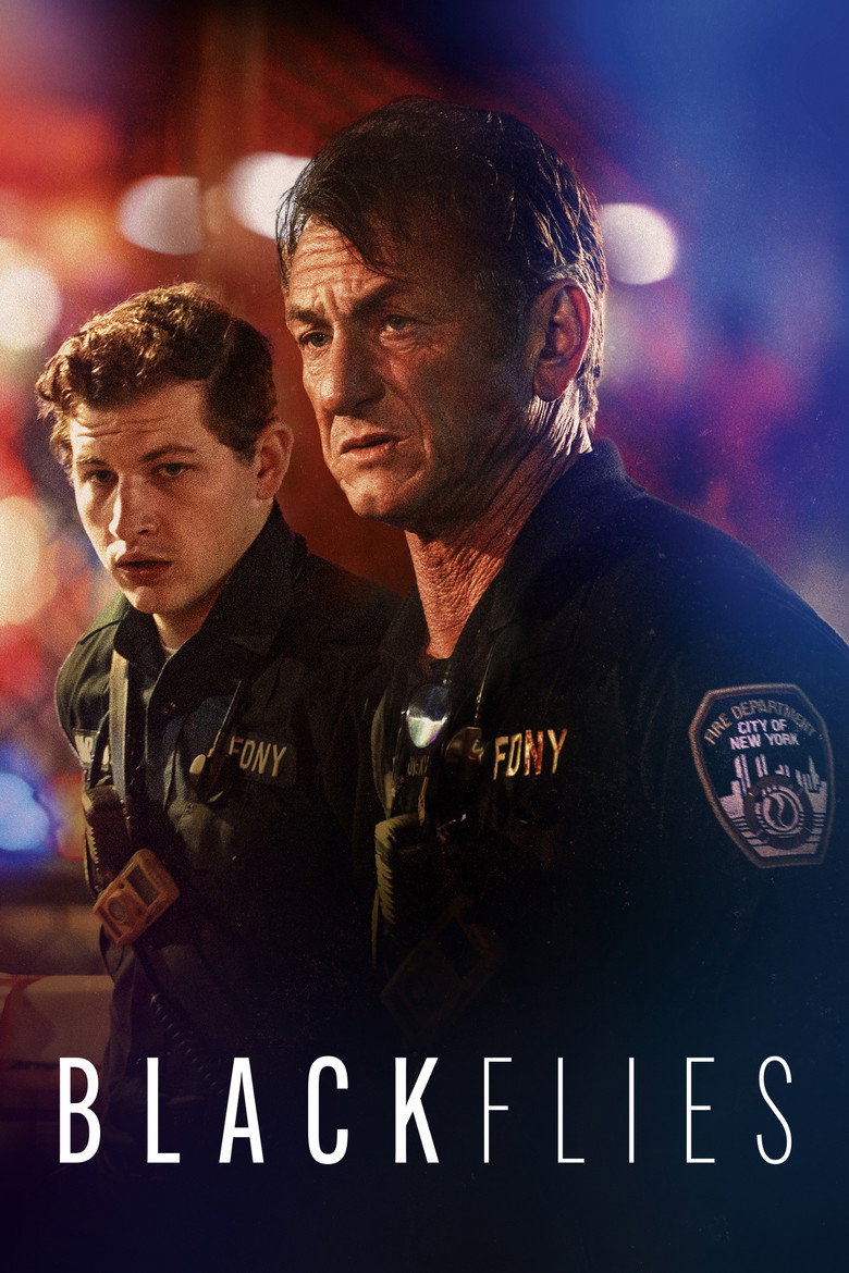 Póster la Película
