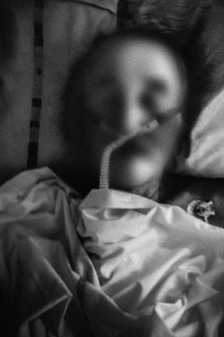 Imatge de Comme une araignée