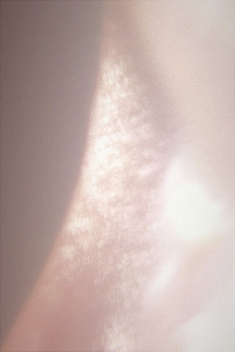 Imatge de Transfragmentation