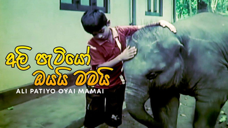 Movie Still