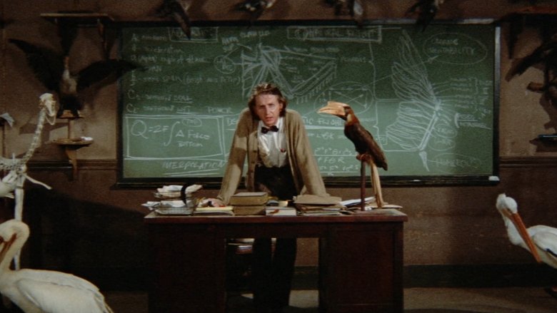 Gallery image from aU8R85OTVFiJkgBxa4bO499R6nP.jpg